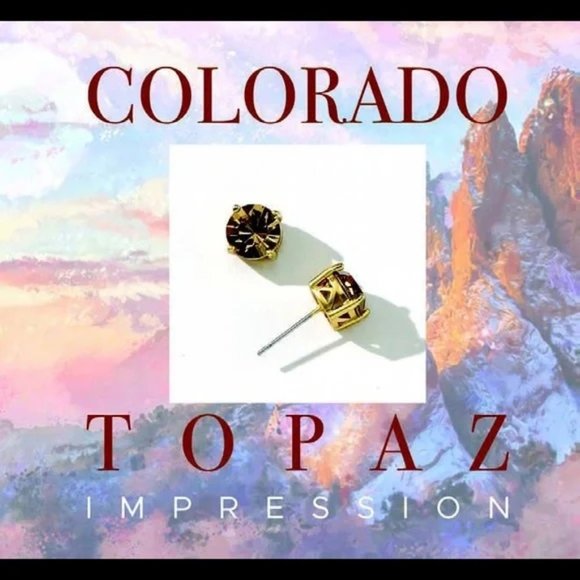 Park Lane Gold and Brown Stud Earrings - Picture 2 of 3